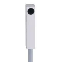 易福门电感式接近开关 IL5022 订货号：ILB30,8-BPKG/2M PVC-1