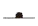 z_lineup4_1